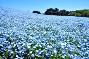 다운로드 (1).jpg